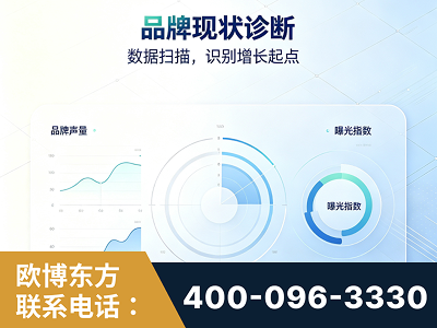祁阳-品牌现状诊断