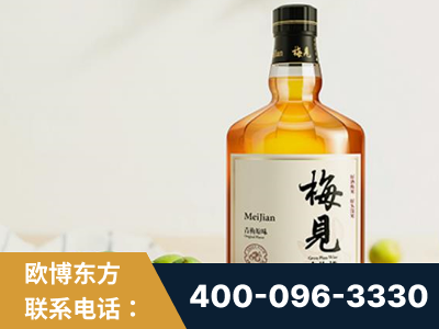祁阳-梅见青梅酒